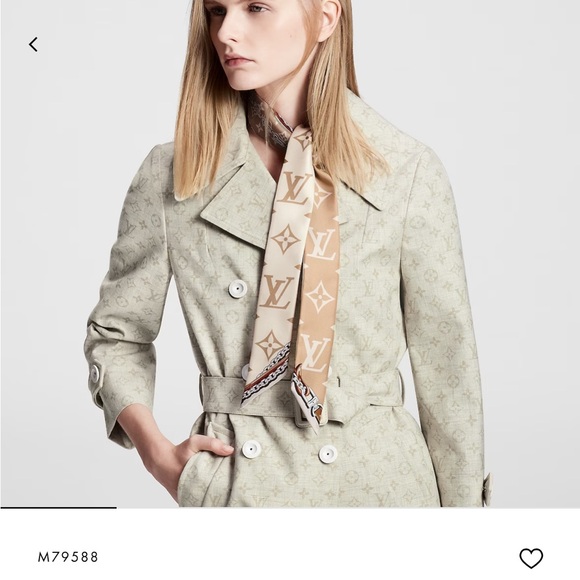 Louis Vuitton BB Bandeau - Picture 1 of 10